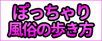 ぽっちゃり風俗の歩き方